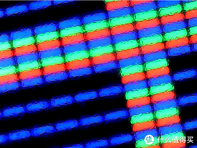 国产万岁!50包邮买到个1000倍数码显微镜