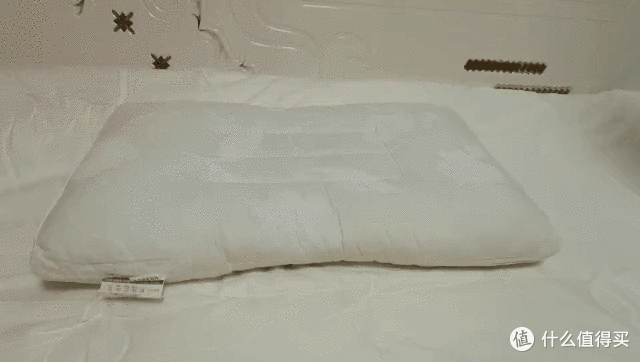 今晚还要和你睡！一夜好梦从舒服的枕头开始~（各类枕头干货知识+真人实测，你想要的全都有）