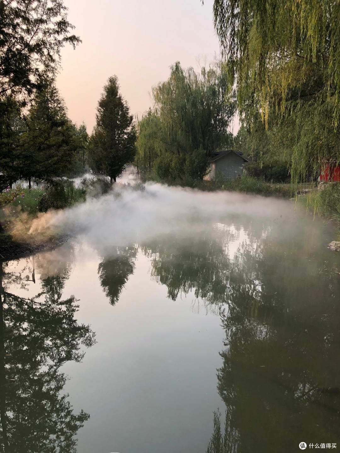 顺义鲜花港4月中旬至5月份的郁金香文化节,摄影爱好者的福音