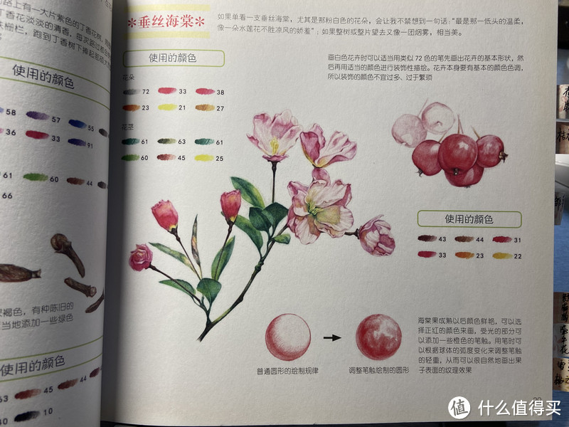 零基础自学彩铅3年+，为新手精选5本入门书