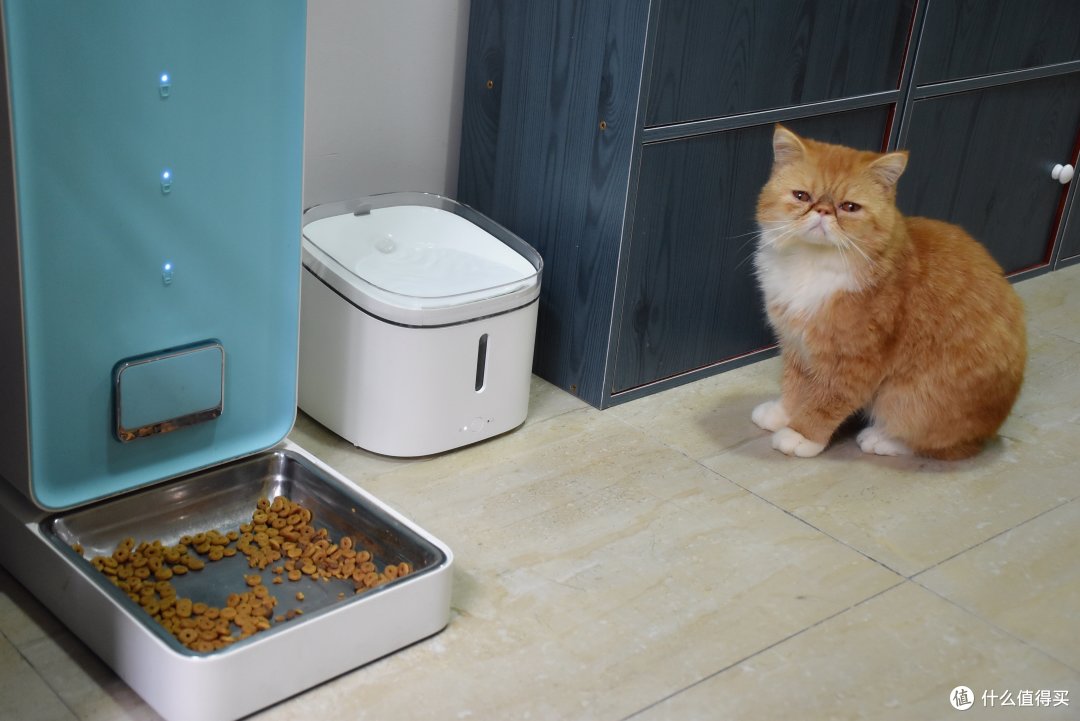 家有28只猫星人，你会如何解决他们的饮水难题