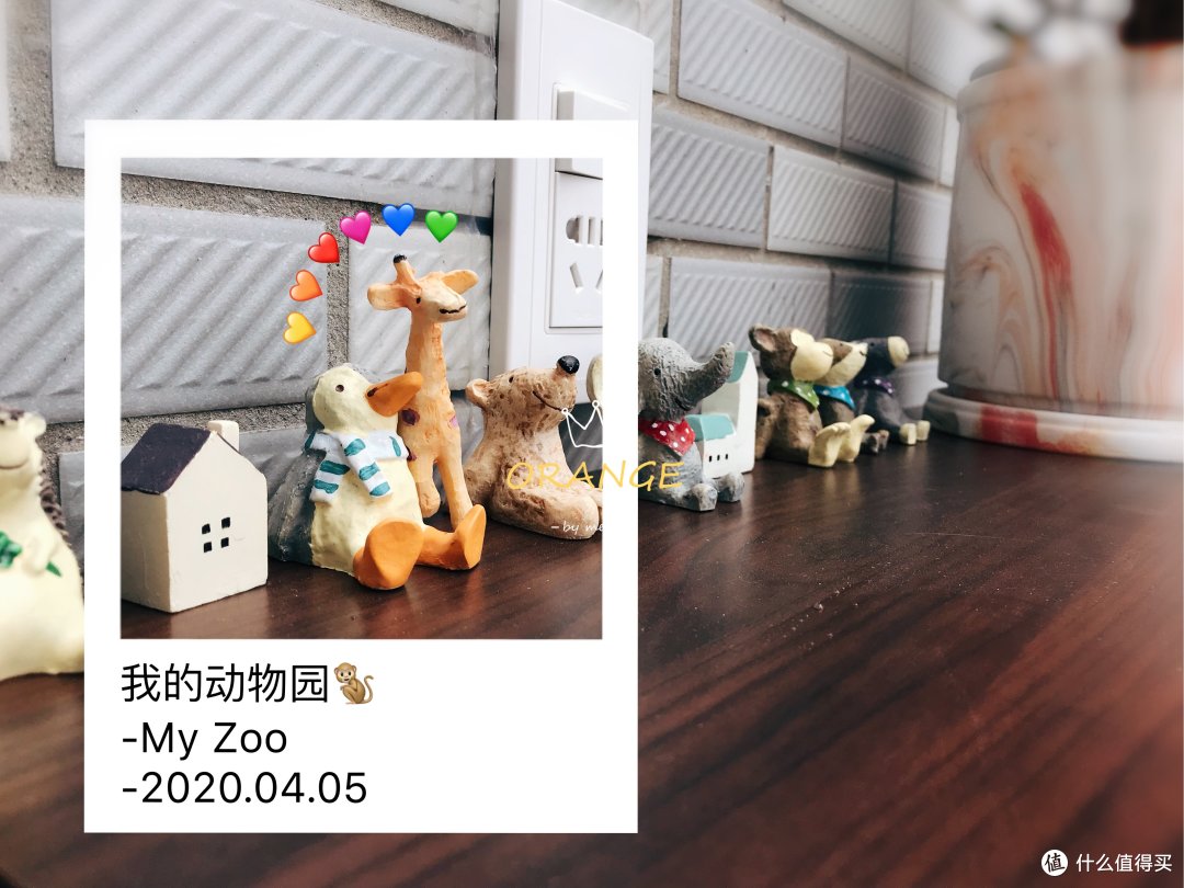 最后的小动物