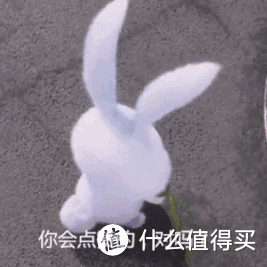 双模好充电,旅途易相伴: cike 小红玩移动电源体验有感