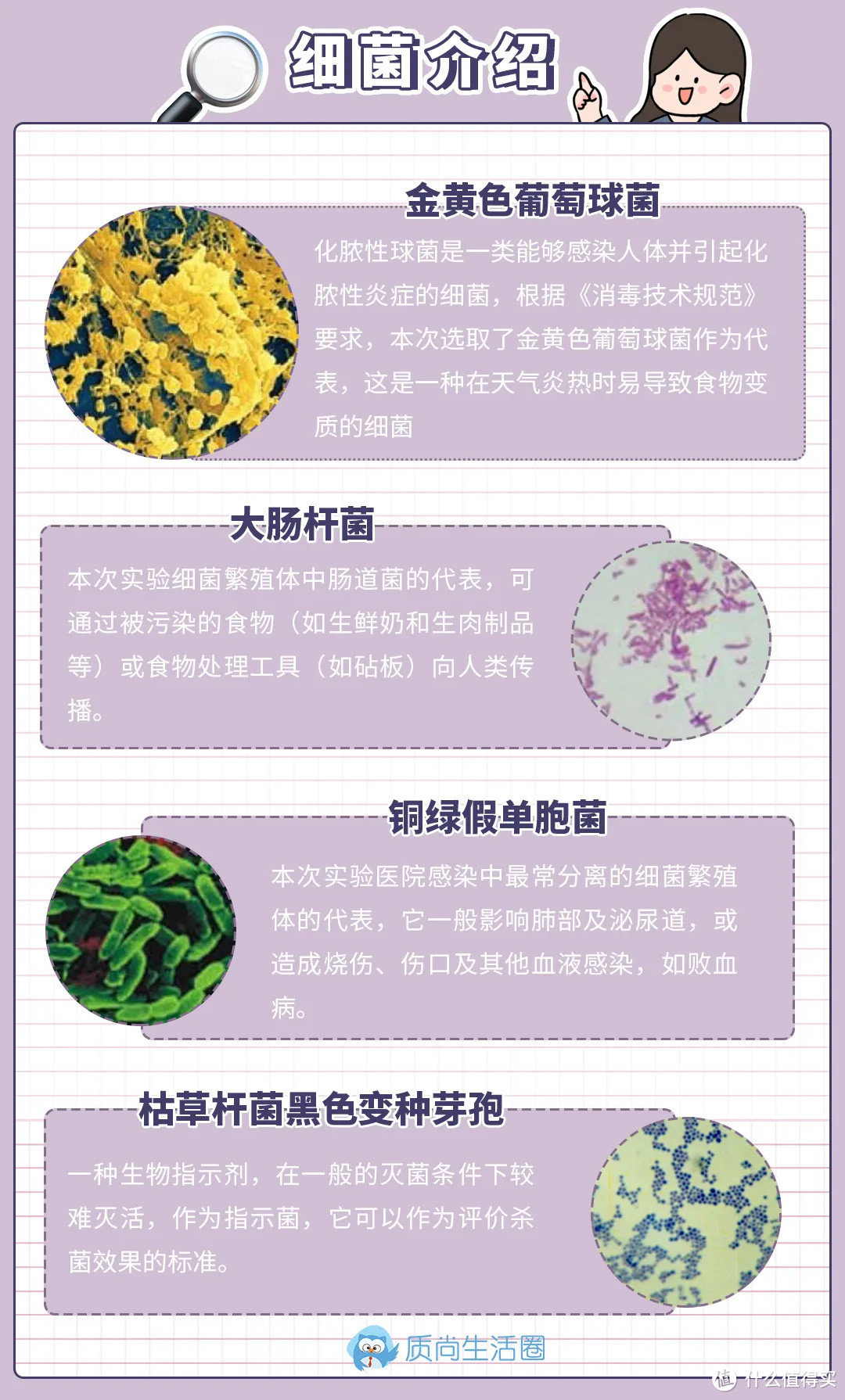 紫外线杀菌灯测评丨杀菌效果实测，杀灭率99.9%到底是不是噱头？