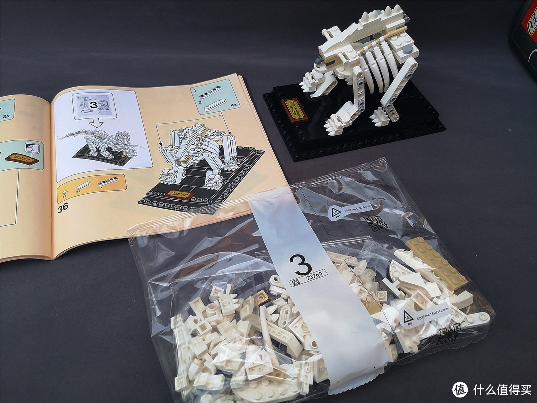 Lego因你而乐：我的乐高恐龙博物馆之Lego 31058恐龙三合一&21320恐龙化石