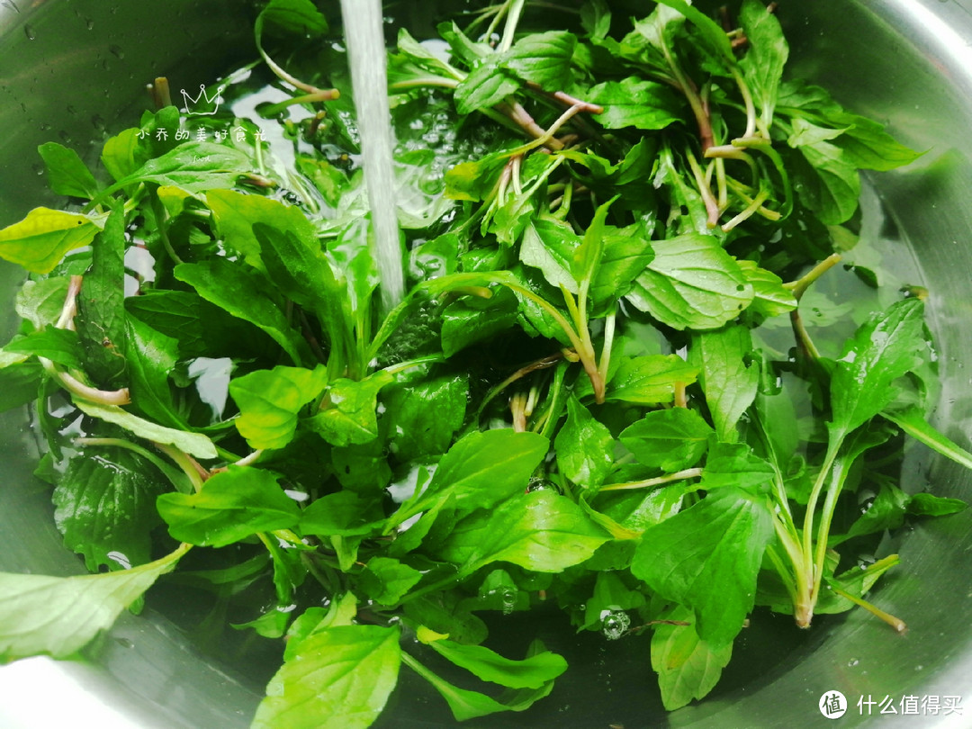 天气转热,路边这“野草”带回家,拌一拌就好吃,鲜香可口能清热