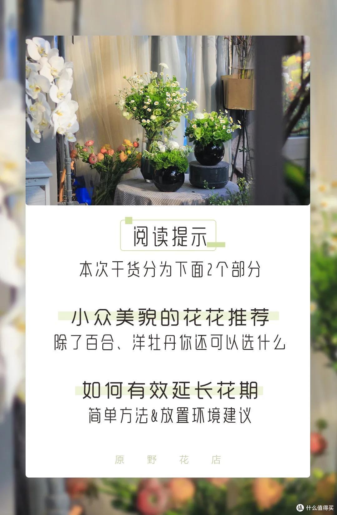 店主来了|美貌不撞款的小众鲜花挑选手册!下次买花心里有数啦~