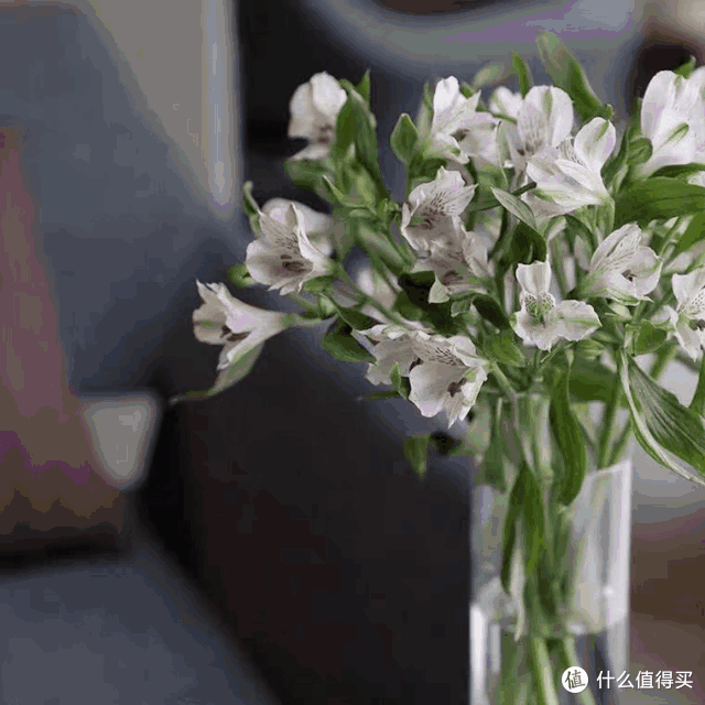 店主来了|美貌不撞款的小众鲜花挑选手册!下次买花心里有数啦~