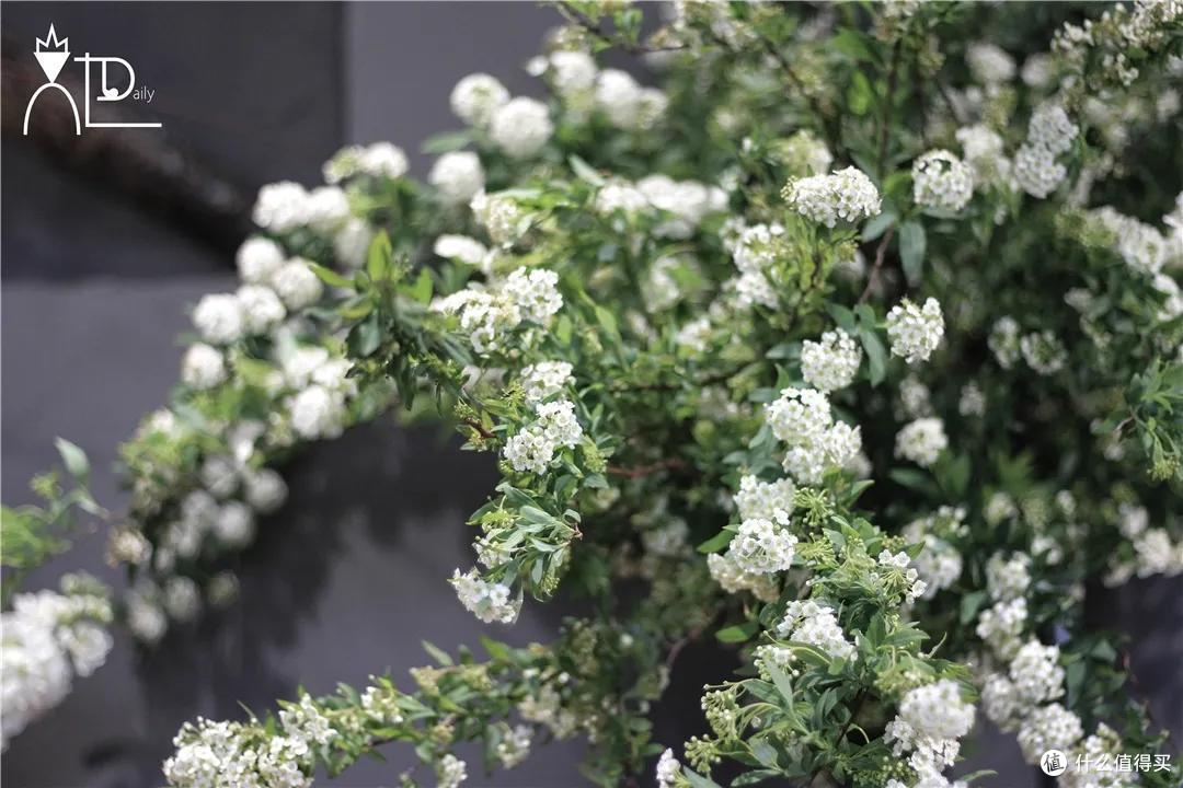 店主来了|美貌不撞款的小众鲜花挑选手册!下次买花心里有数啦~