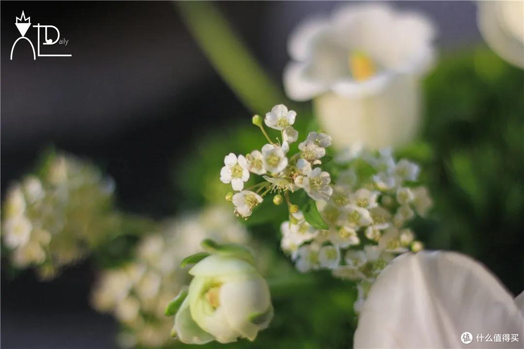 店主来了|美貌不撞款的小众鲜花挑选手册!下次买花心里有数啦~