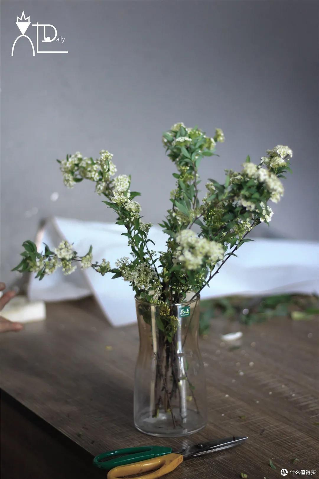 店主来了|美貌不撞款的小众鲜花挑选手册!下次买花心里有数啦~