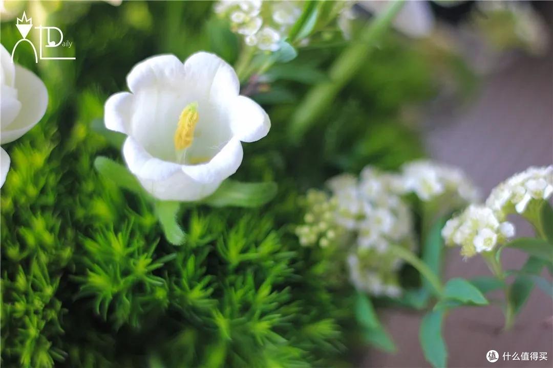 店主来了|美貌不撞款的小众鲜花挑选手册!下次买花心里有数啦~