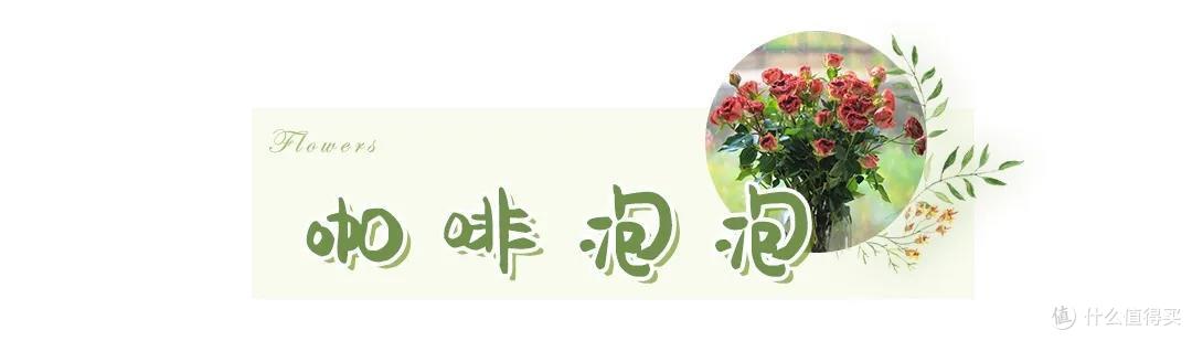 店主来了|美貌不撞款的小众鲜花挑选手册!下次买花心里有数啦~