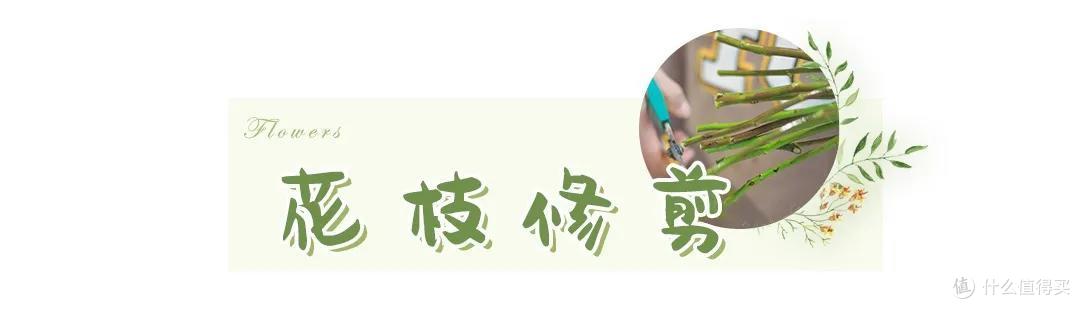 店主来了|美貌不撞款的小众鲜花挑选手册!下次买花心里有数啦~