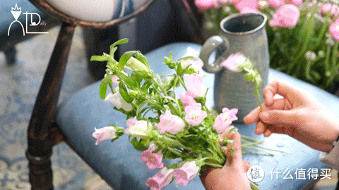 店主来了|美貌不撞款的小众鲜花挑选手册!下次买花心里有数啦~