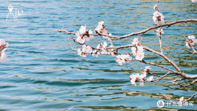 她圈测评|沙子口意大利？村中古堡？青岛九寨沟？网红拍照地实测第2弹来了！