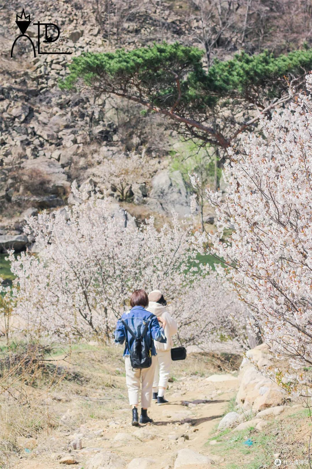 她圈测评|沙子口意大利？村中古堡？青岛九寨沟？网红拍照地实测第2弹来了！