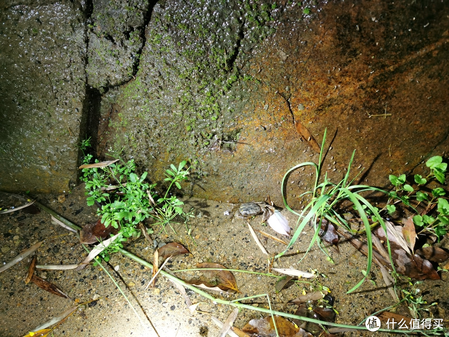 春季户外运动大作战之老法师的登山装备私藏推介