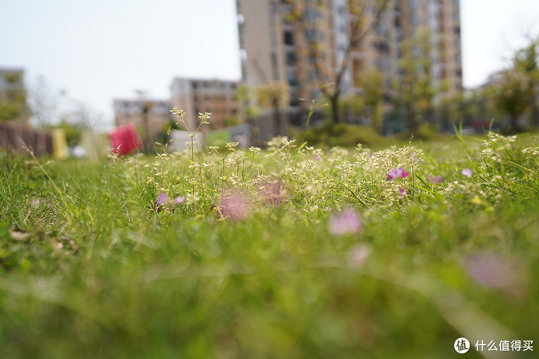 一寸短一寸险-SONY FE 24mm F1.4 GM 广角定焦头