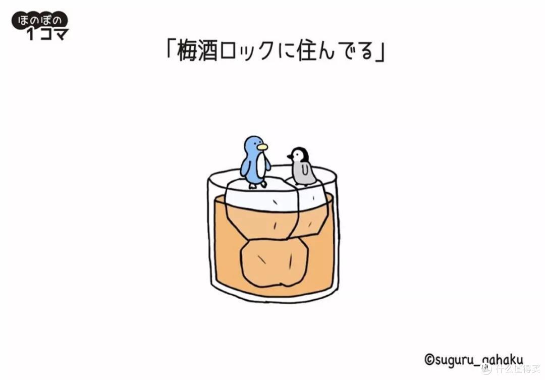 一不小心，跌入了梅子酒的奇妙世界
