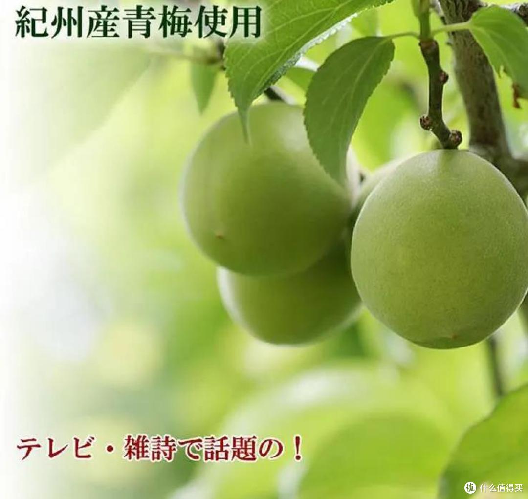 一不小心，跌入了梅子酒的奇妙世界