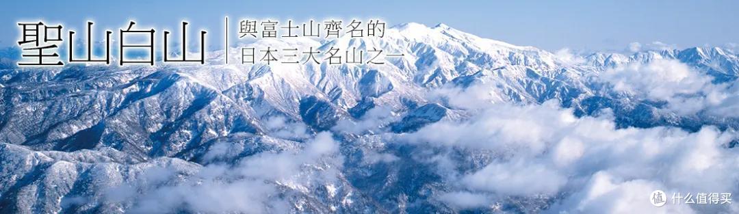 一不小心，跌入了梅子酒的奇妙世界