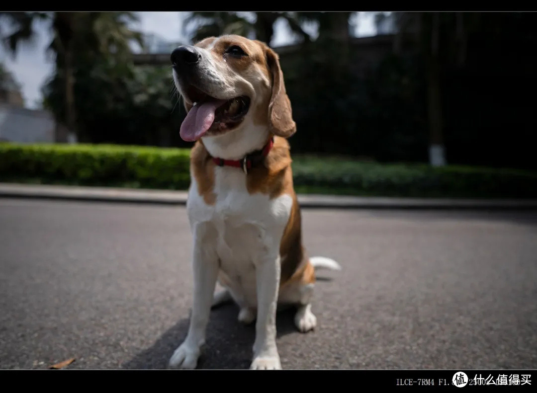  轻便大光圈超广定焦镜头 索尼全画幅镜头FE 20mm F1.8 G测评