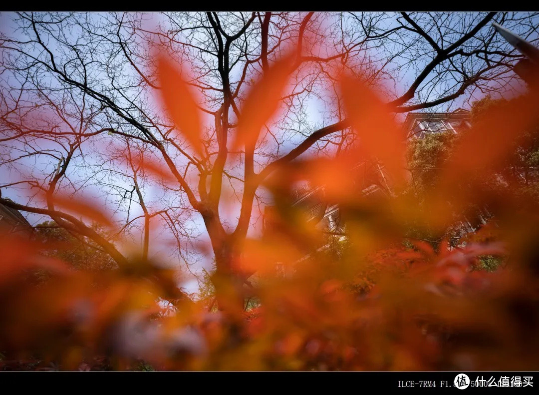  轻便大光圈超广定焦镜头 索尼全画幅镜头FE 20mm F1.8 G测评