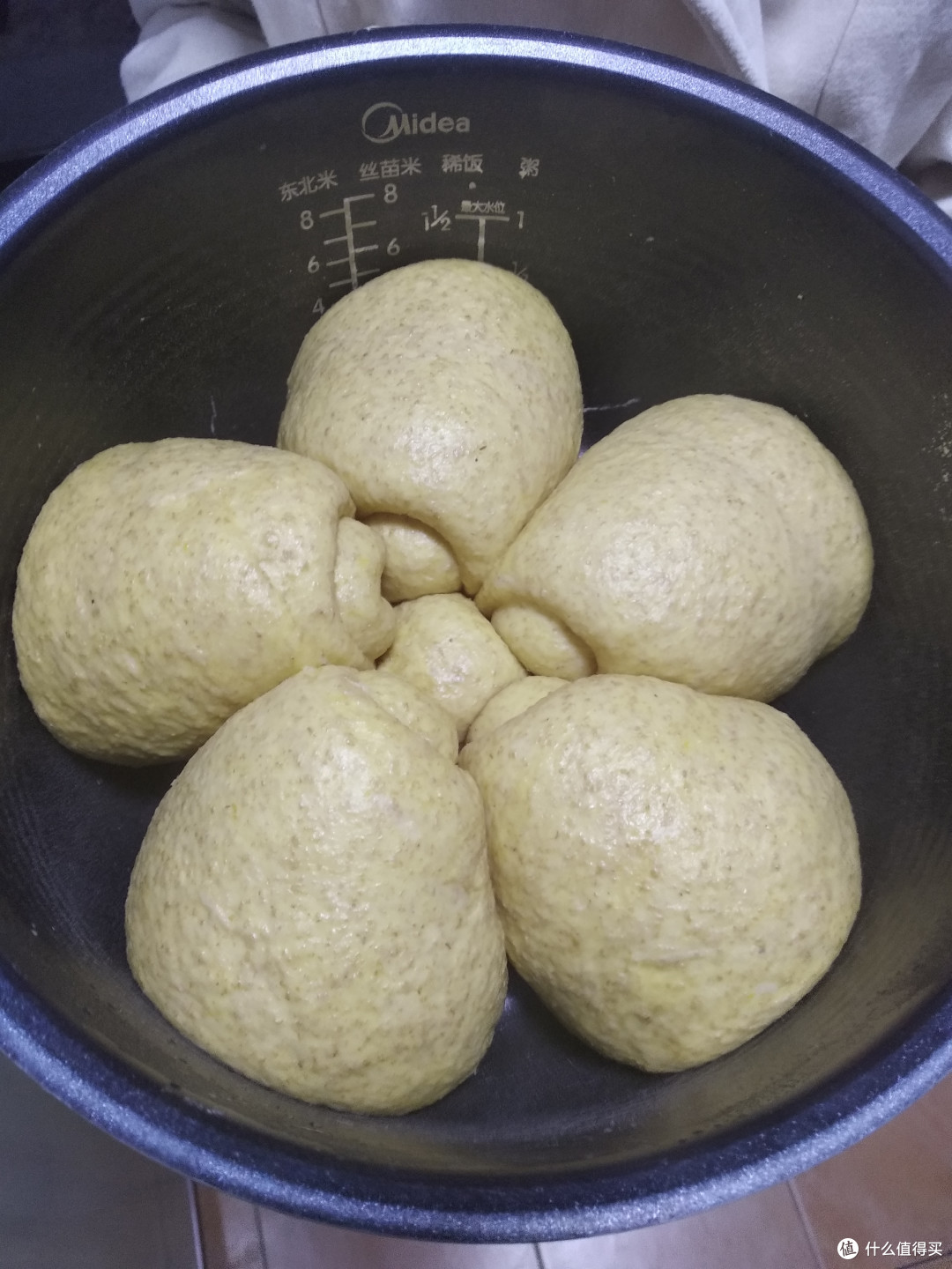 发酵好的状态
