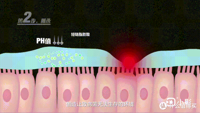 “免疫力”才是最好的特效药