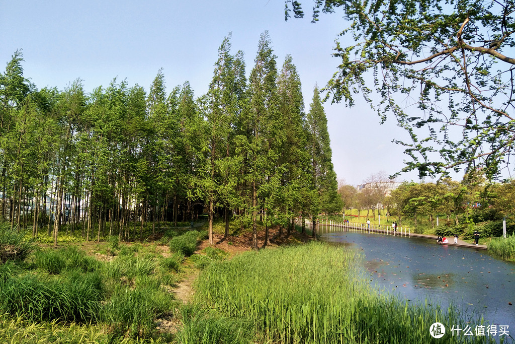 魔都无山胜有山，江边圣地徒步游