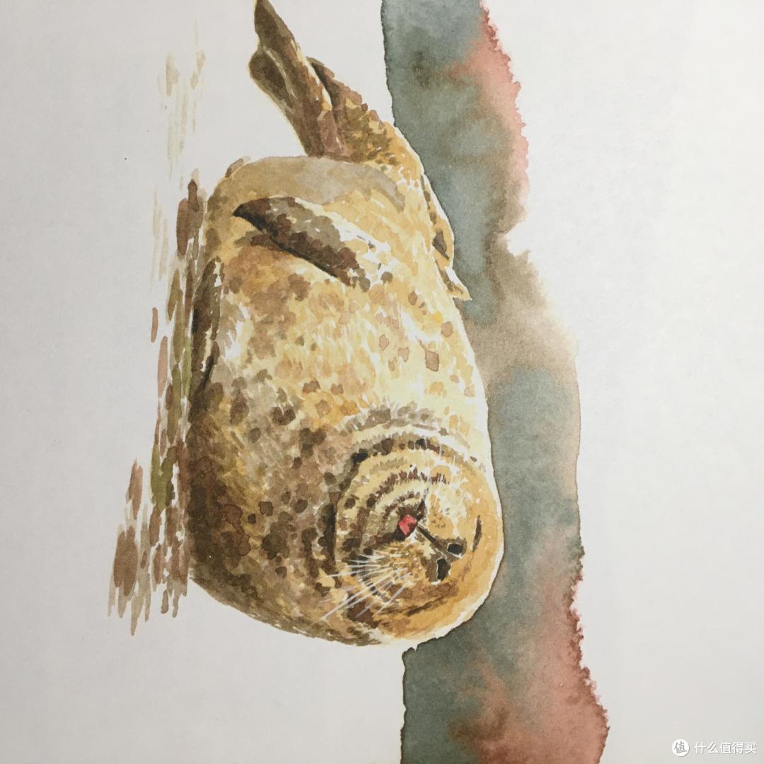 看张大妈直播因为水哥的坚持我中奖了内附中奖秘诀