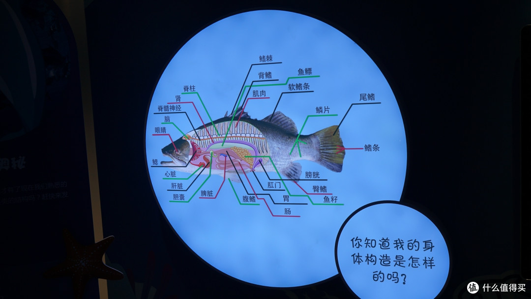 认识海洋——宁波海洋研究院创新实践基地