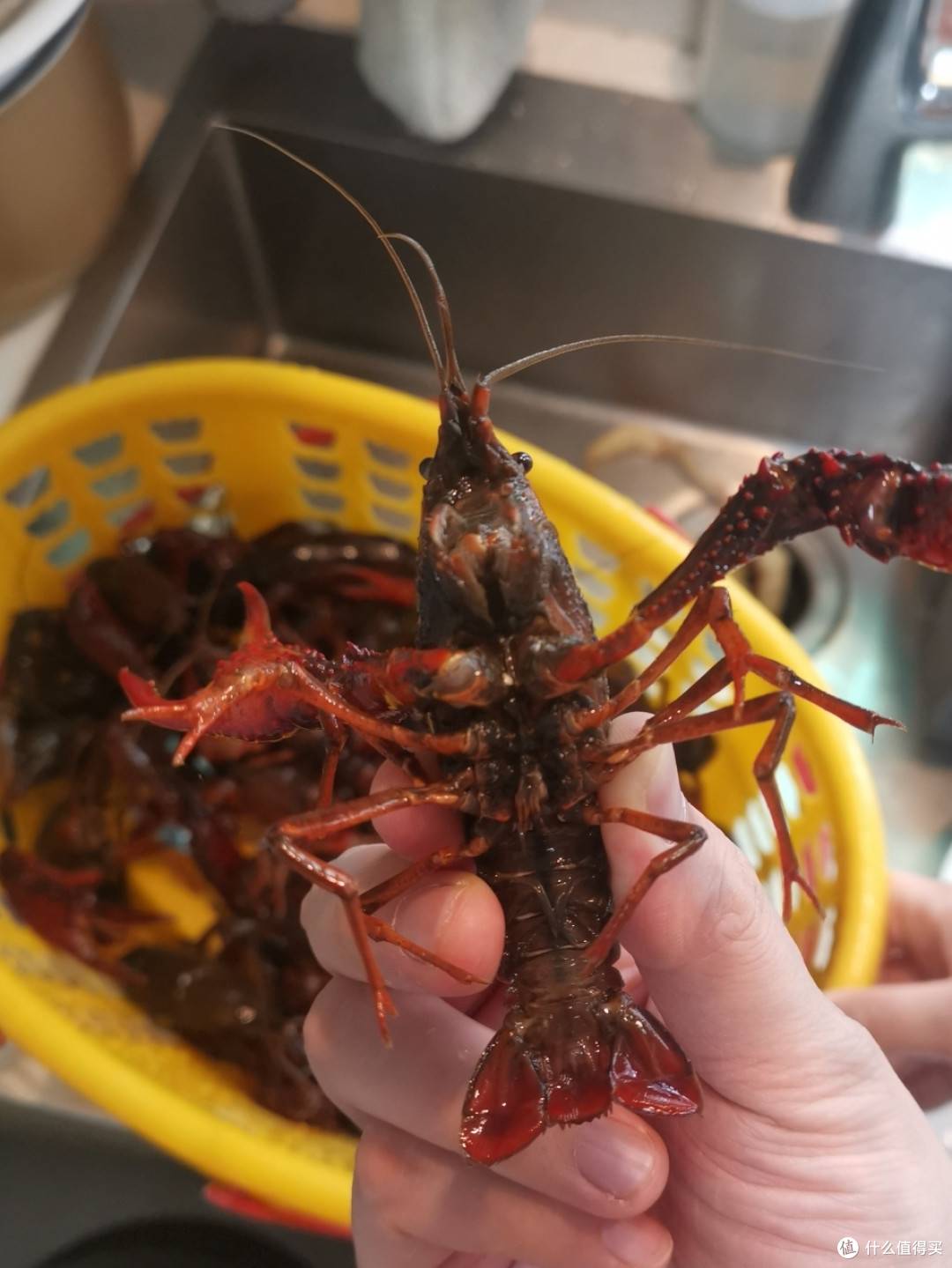 满足一家人口腹之欲的麻辣小龙虾