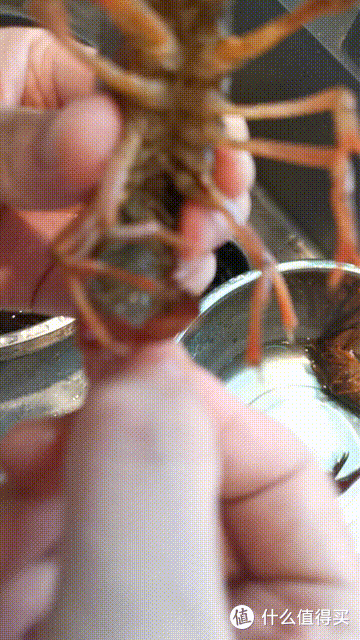 满足一家人口腹之欲的麻辣小龙虾