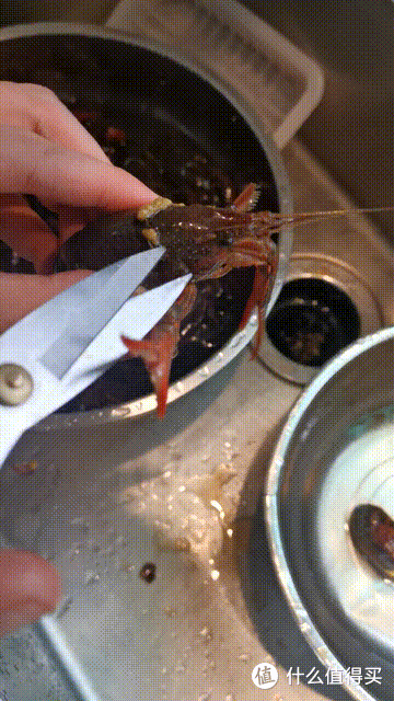 满足一家人口腹之欲的麻辣小龙虾