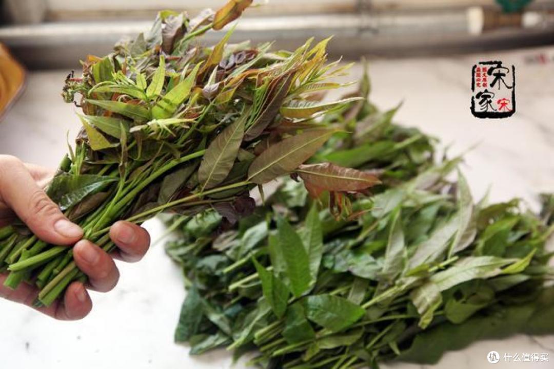 谷雨必吃这菜,50元一斤都被抢,消炎提免疫,北方人超爱!