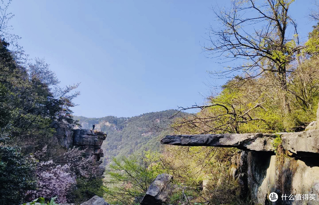 庐山印象5:龙首崖、天池寺、仙人洞、险峰西线景点踏春记
