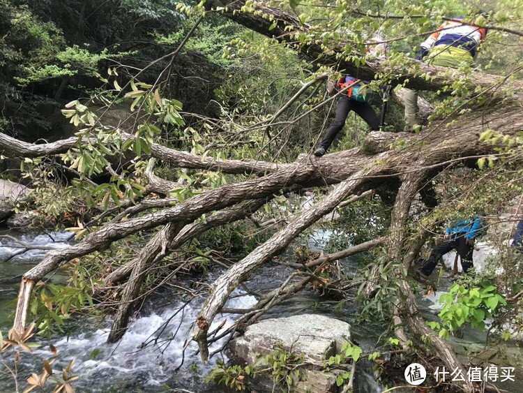 时光不老，情谊不散——迟来的皖南游记（二）