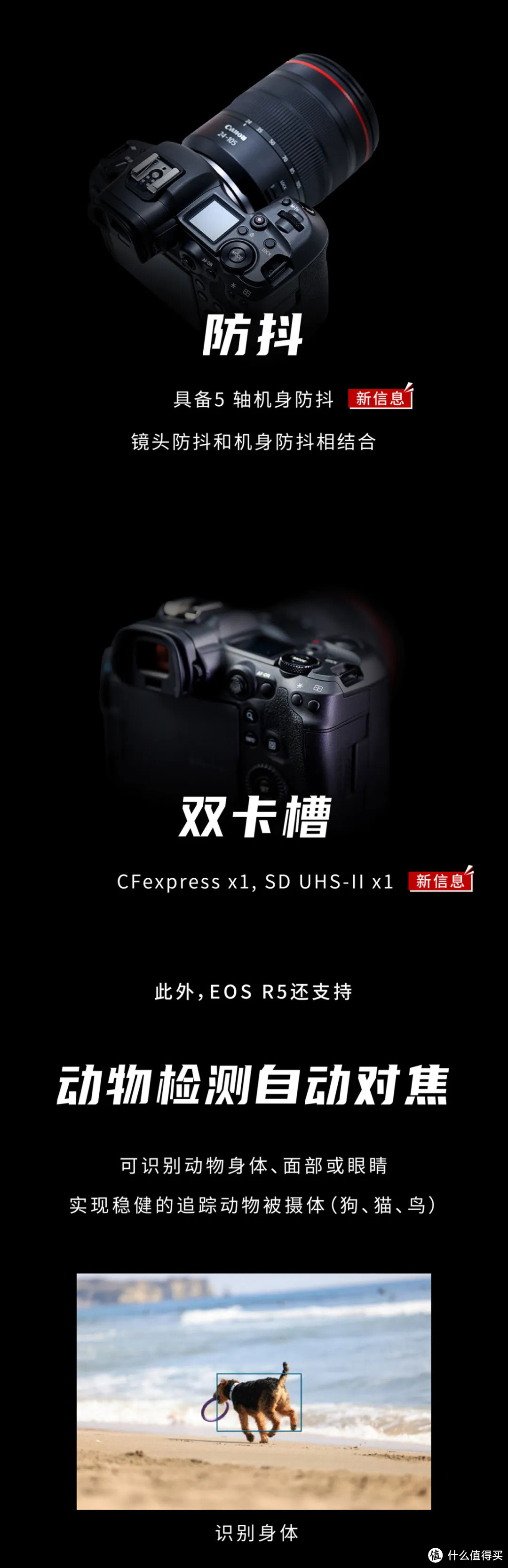 佳能R5及EOS C300 Mark III详解