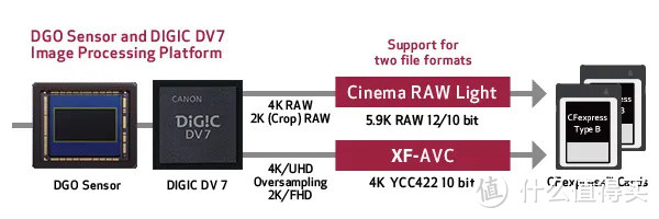 佳能R5及EOS C300 Mark III详解