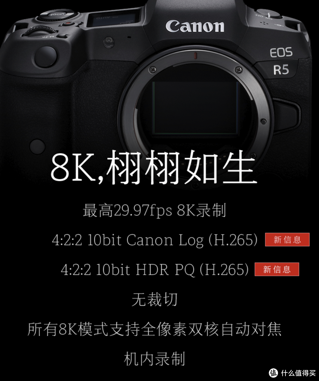 连续暴击这谁受得了？佳能EOS R5新参数向李安致敬