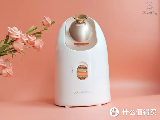 COCOBEAUTY面部桑拿器冷热双补水