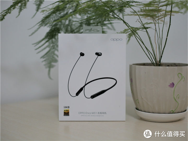 好音质用细节说话 oppo enco m31无线耳机听你想听