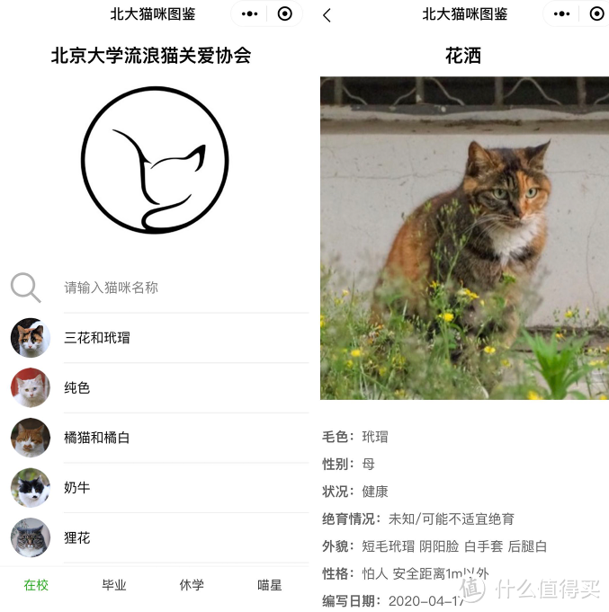 “北大猫咪图鉴”火了！来“云吸猫”吗？北大那种的~
