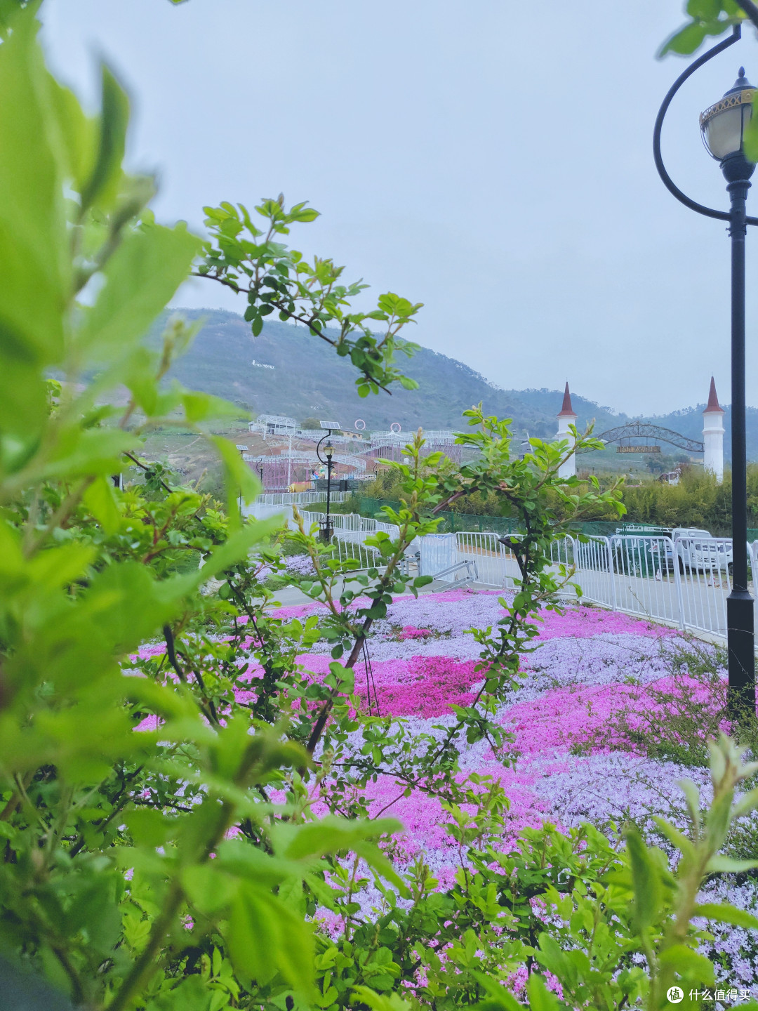 【提前预告美景】江苏镇江即将开业的长山薰衣草庄园