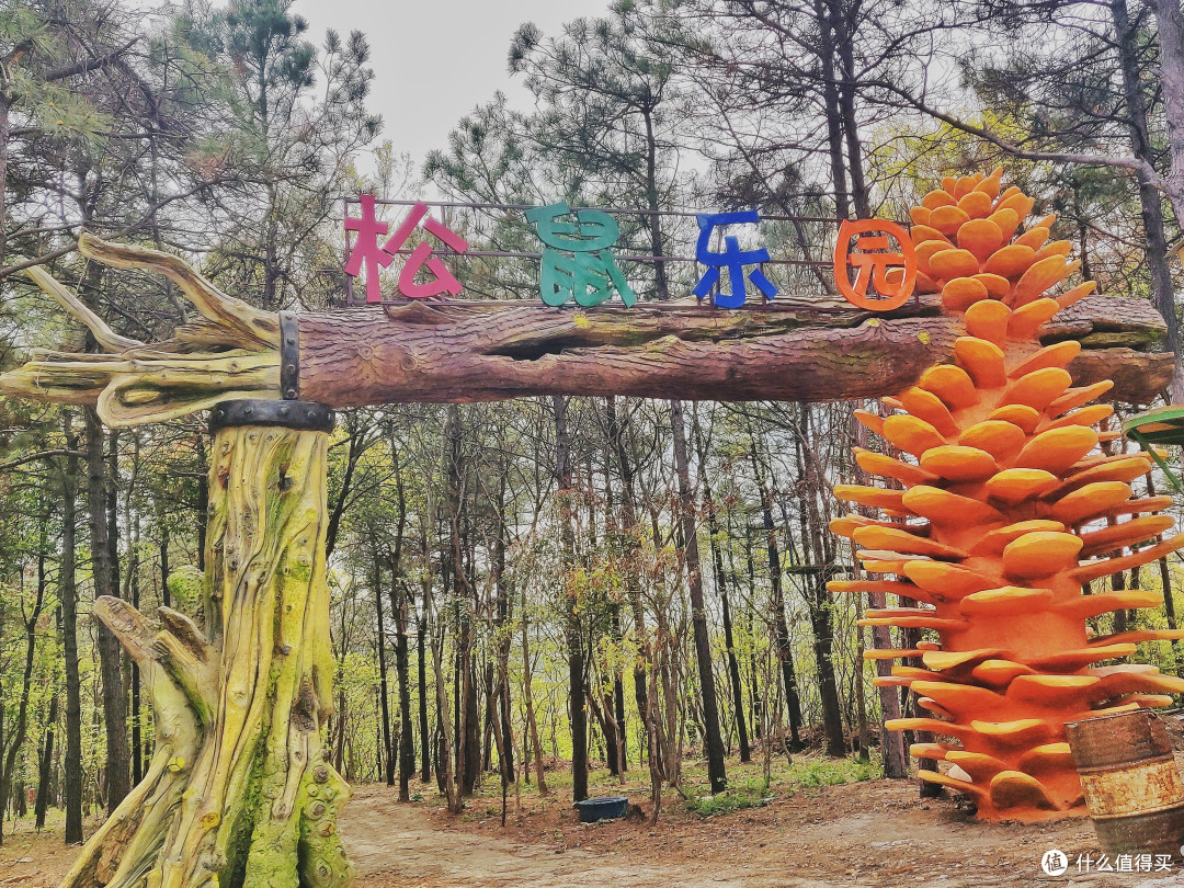 【提前预告美景】江苏镇江即将开业的长山薰衣草庄园