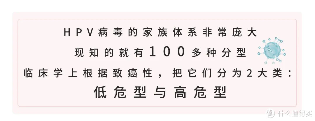 我花一个月时间整理的HPV疫苗最全攻略，你想知道的都在里面了