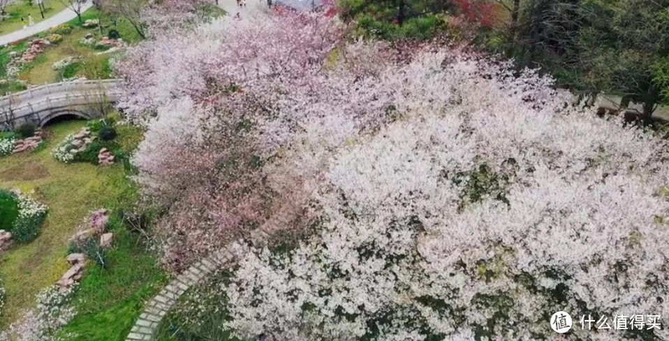 远离都市不扎堆，江苏好吃又好玩的小城可真不少