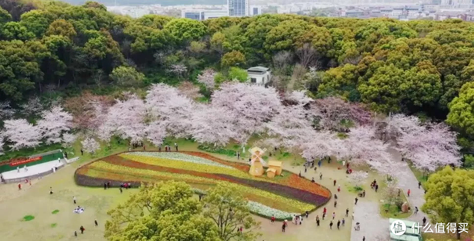 远离都市不扎堆，江苏好吃又好玩的小城可真不少